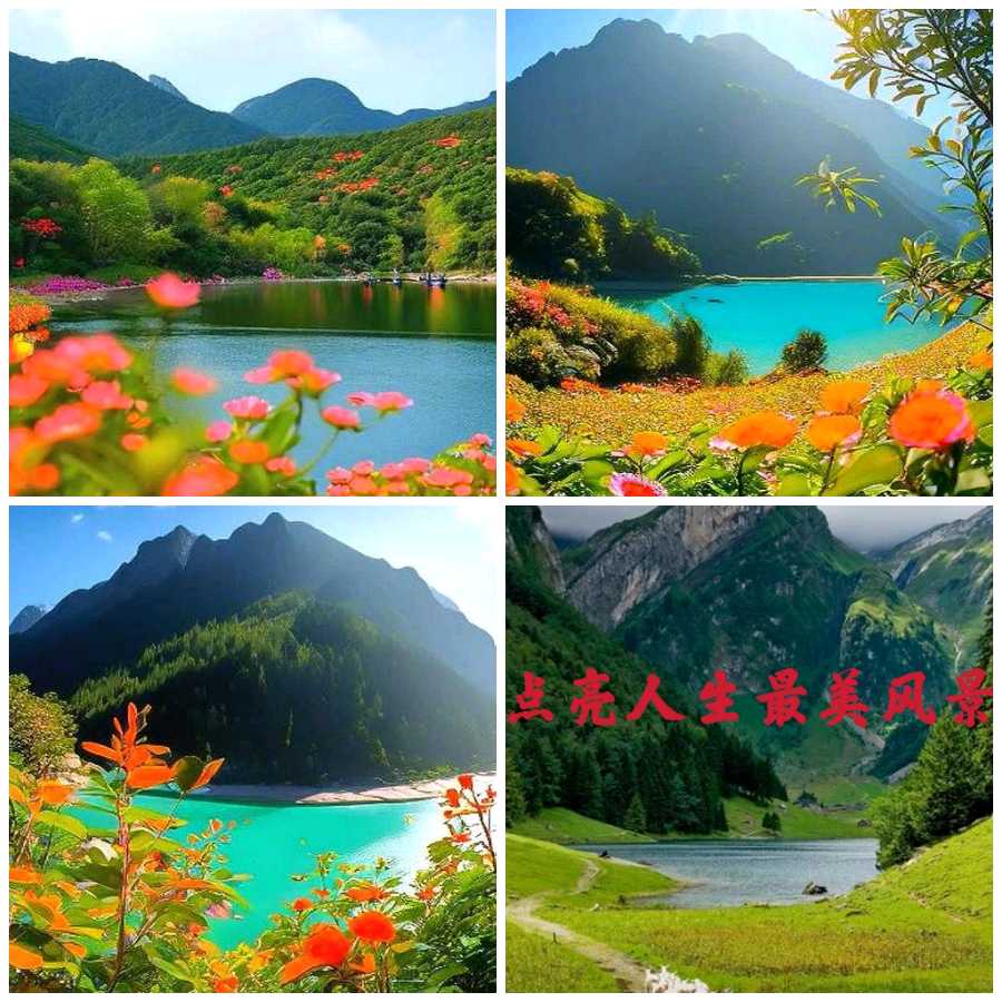 【文学天地】鲁坡//人生不容如果惟有因果（图12）