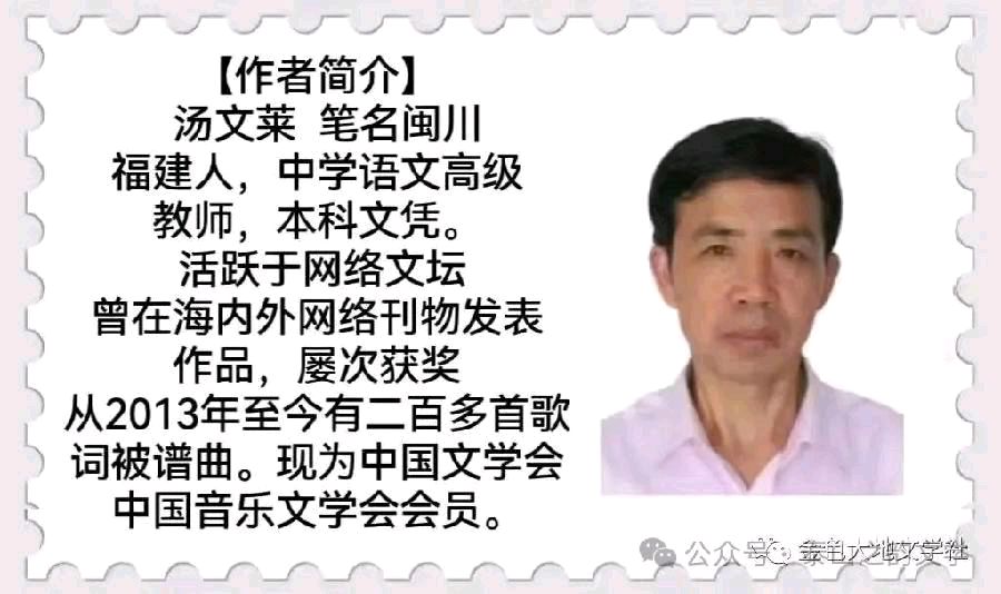 【电视剧展播16】谍雾谜海（二十集电视剧）文/汤文来 第十六集：生死对决 主播/小薇（图2）