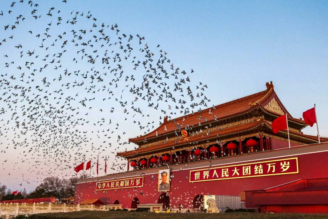 我爱你祖国