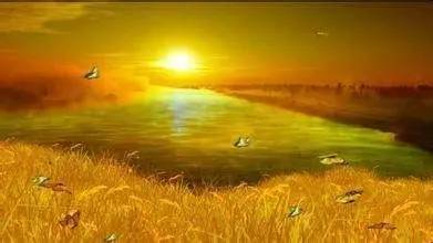 从阳光走向阳光文/林水火（福建）（图3）