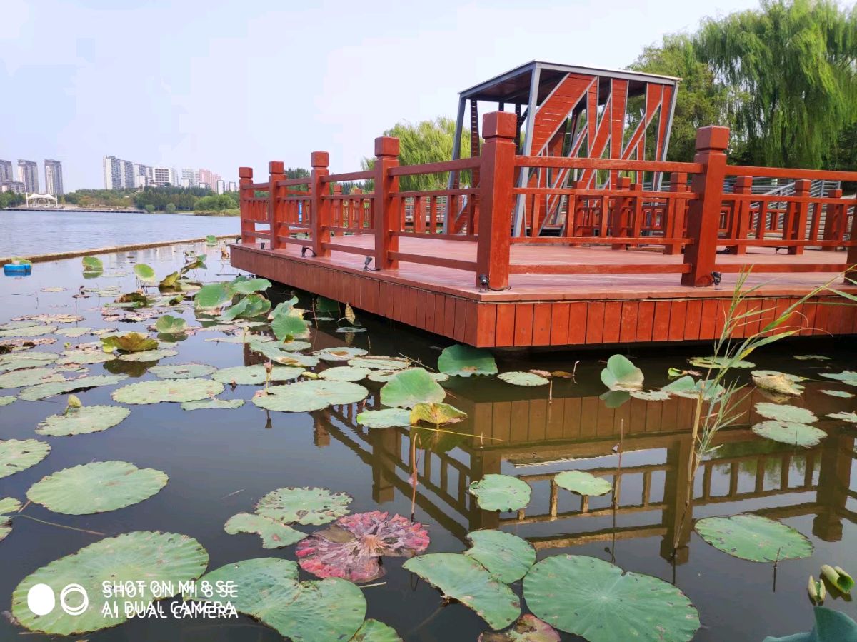 深秋一副油彩画（图2）