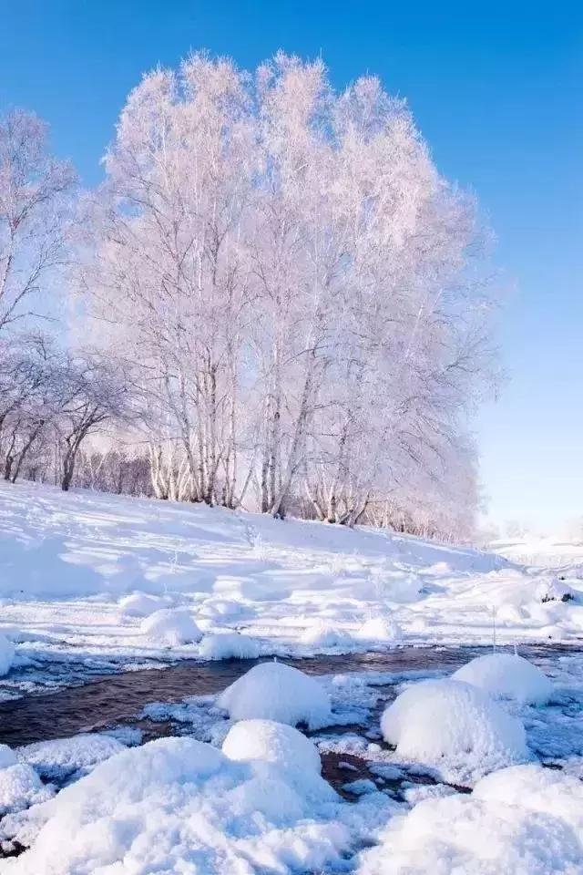 【荣耀中国】瑞雪兆丰年文-聂金杨(图2)
