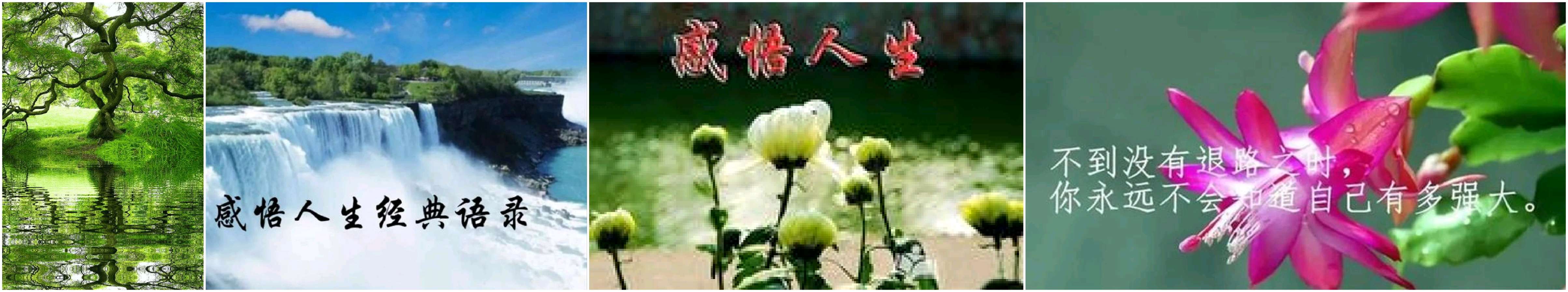 【精短文学】鲁坡//命运原来如此[庆祝中华人民共和国成立75周年作品展]（图4）