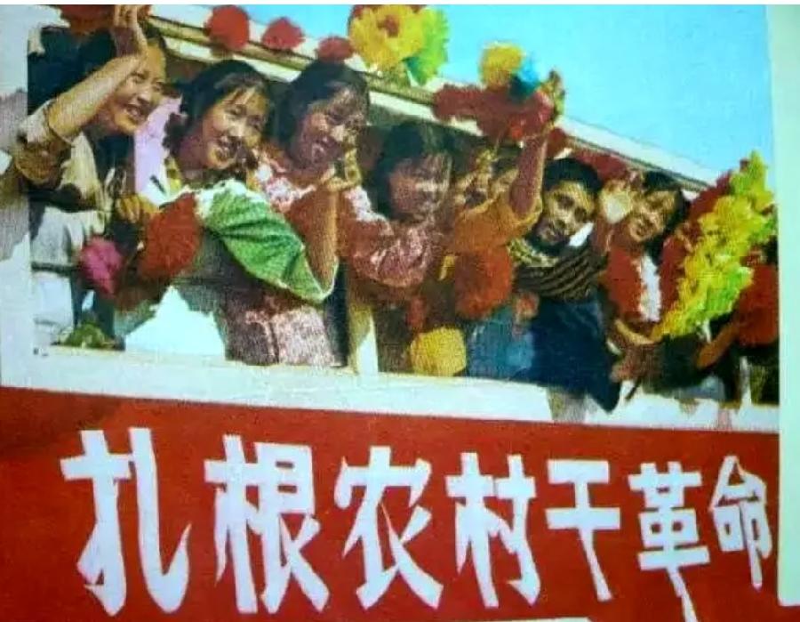 【中华好诗词】分享（内蒙古）优秀诗人李景文老师《枫叶》外两首请欣赏（图6）