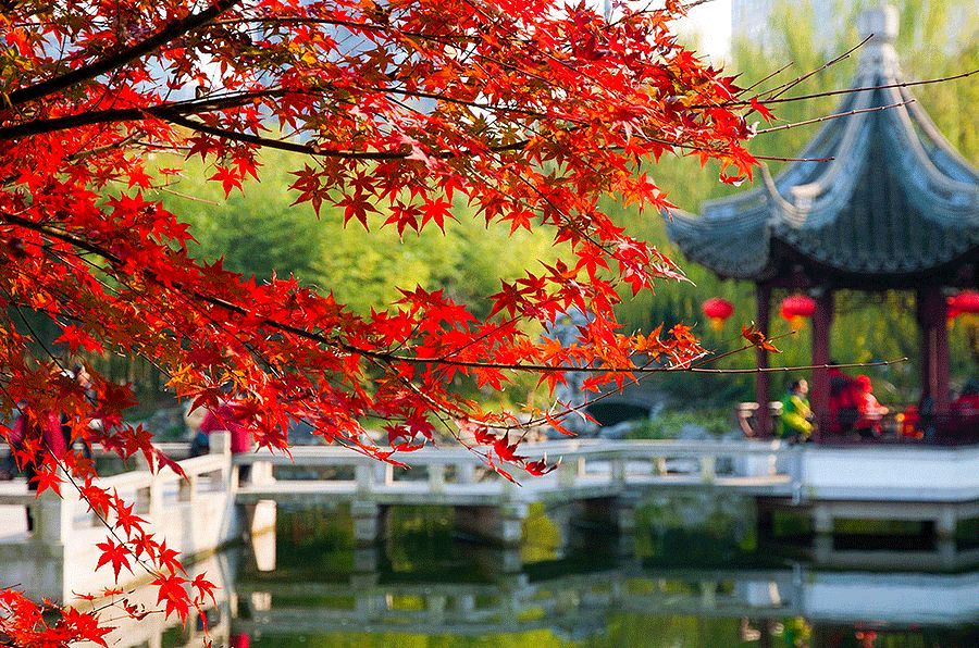 石家庄市藁城区诗词协会同题诗五十七期《十月》（图10）