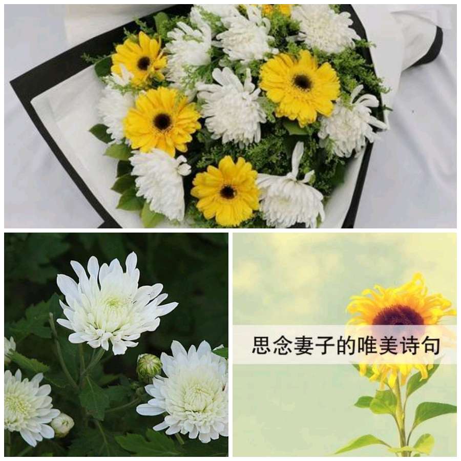 【长相思】“农民诗人”曹南强//爱难忘[外一首]（图6）