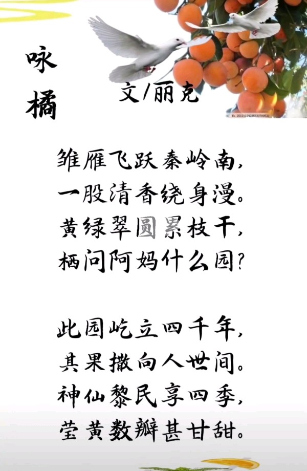 咏橘-文/丽克-西银/北京头条（图2）