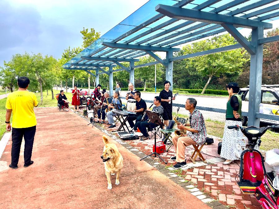 刘光华(重庆野布)格律诗精选(六)/中华诗艺社黑龙江分社推荐（图14）