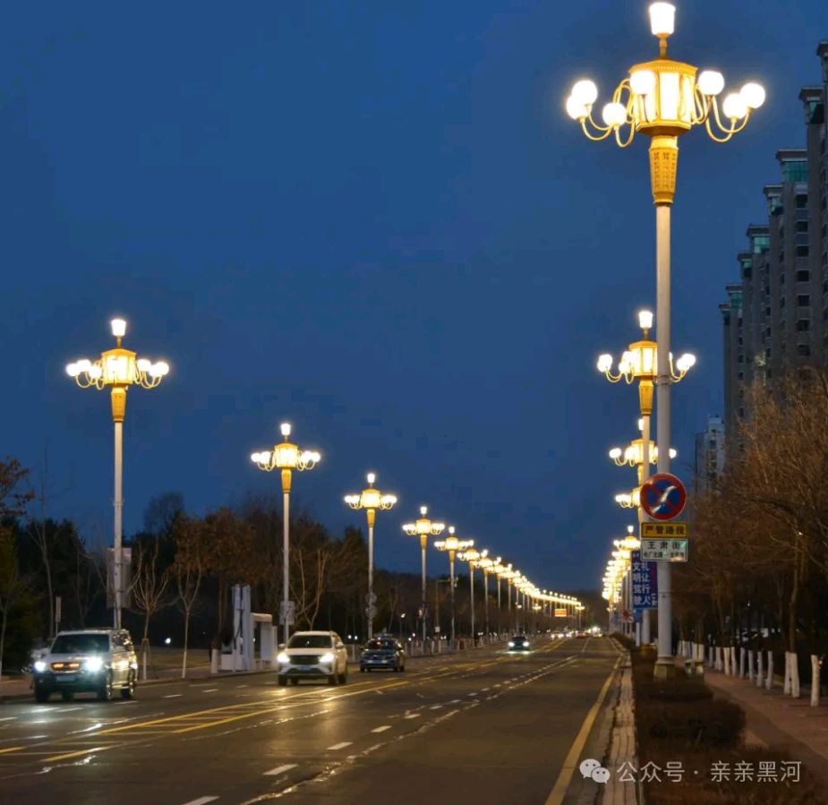 《红色文化》张老四【苍松】作品（图3）