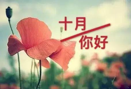藏头诗:十月你好文/王俊杰(天津)（图4）