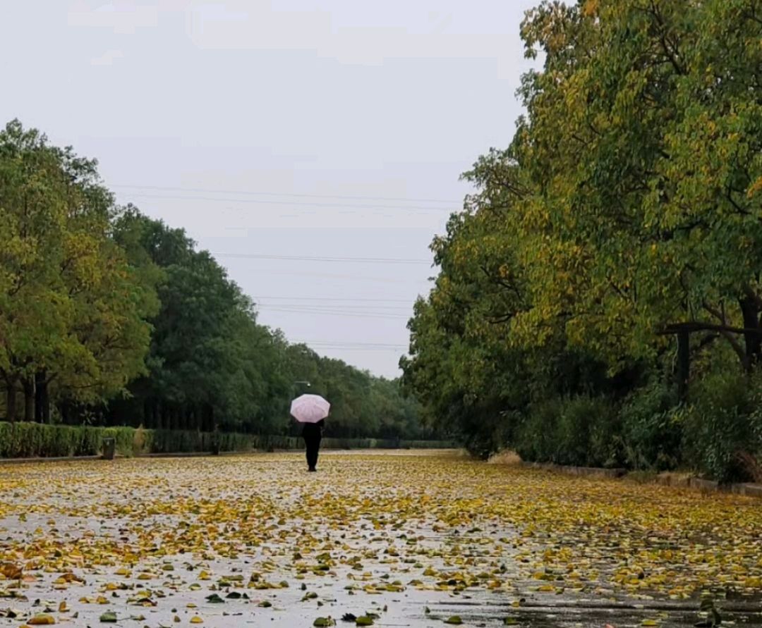 关于树思考