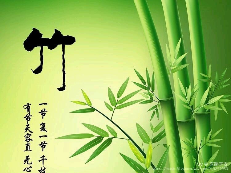 请欣赏何霖生老师的佳作【七律《咏竹》平水韵/朗诵:茱萸儿（图2）