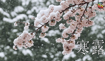 【神都诗社】龙门诗苑第022期《寒露》（图4）