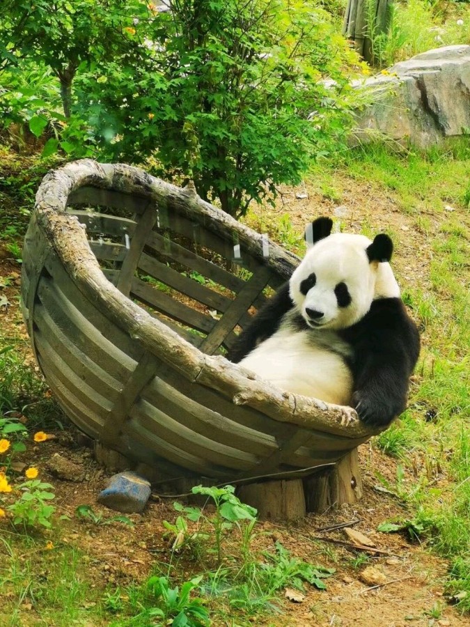 【红色文化】诗词天地/编辑/润牙子（图4）