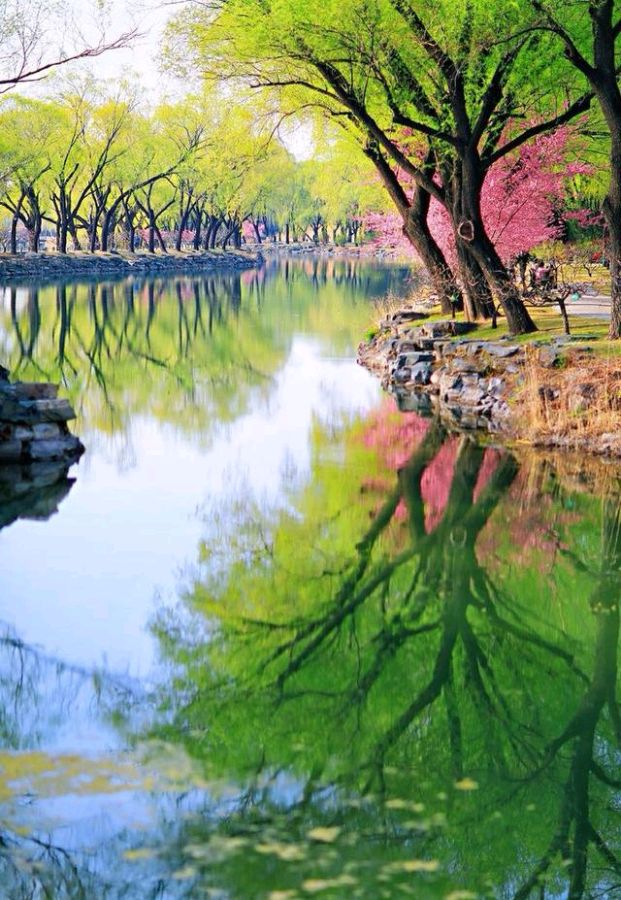 七绝-醉春光——步韵戏友空谷幽兰诗～诗||真诚（图16）