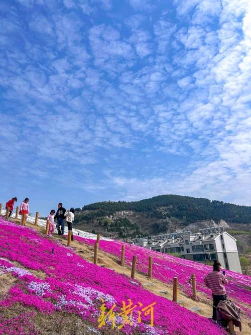 《十月四日再登牧牛山》（图5）
