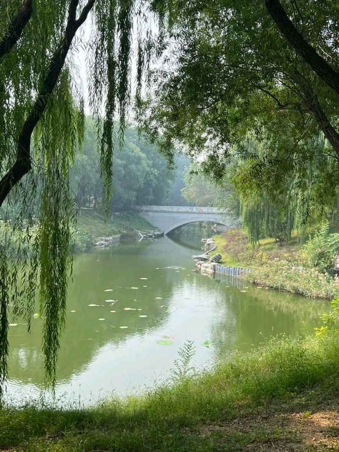 【红色文化站】个人专辑《秋游》作者·苍松（图3）