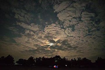 夜望感思（文/冯清明）……莲叶之珠文学社（图4）