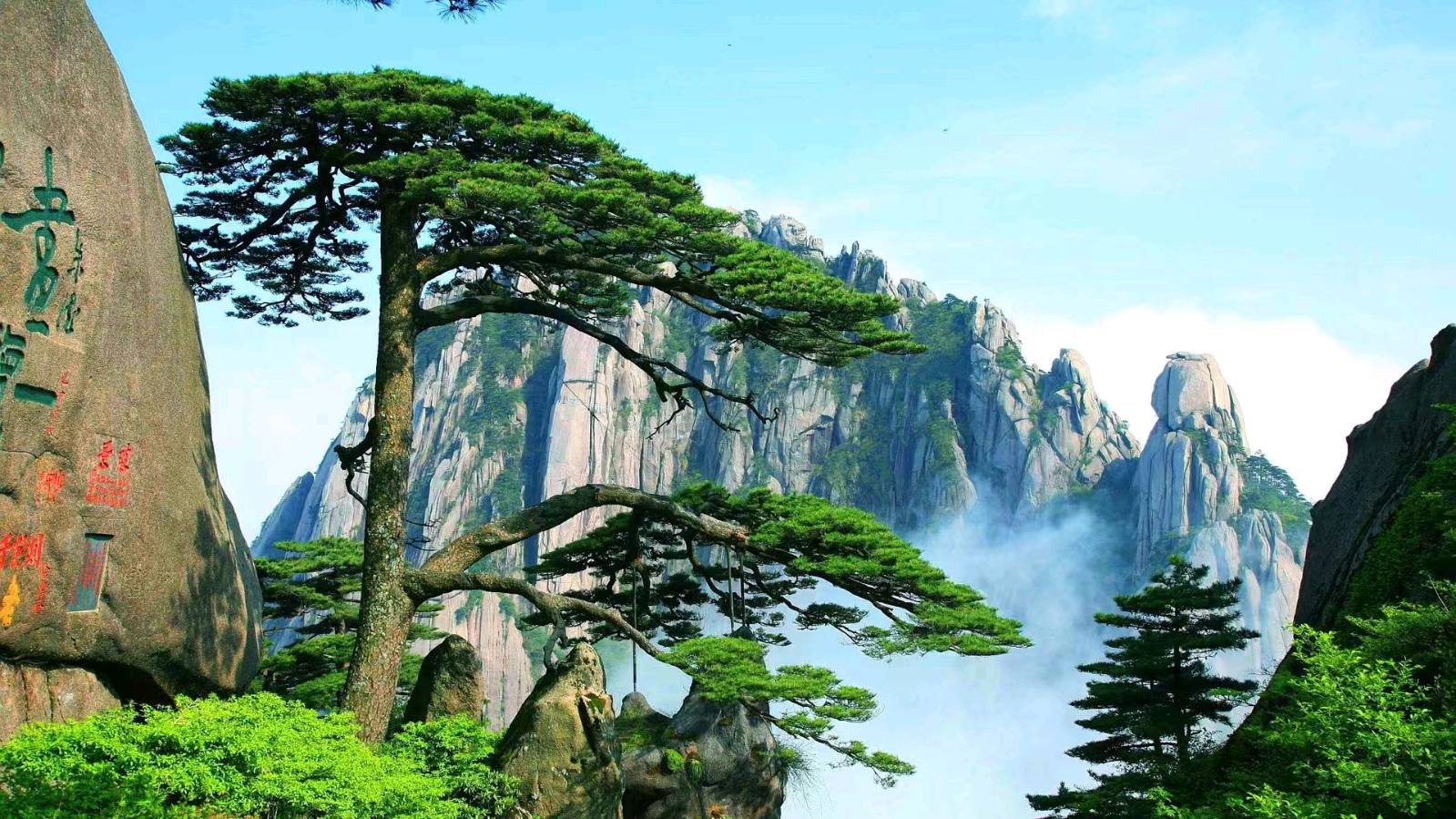 《迎客松》文/安曼（图3）