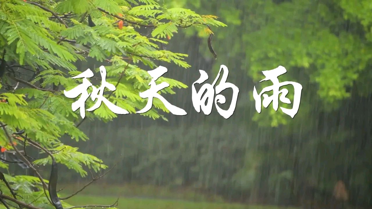 《秋天诗词》左书谔老师每天经典（图12）