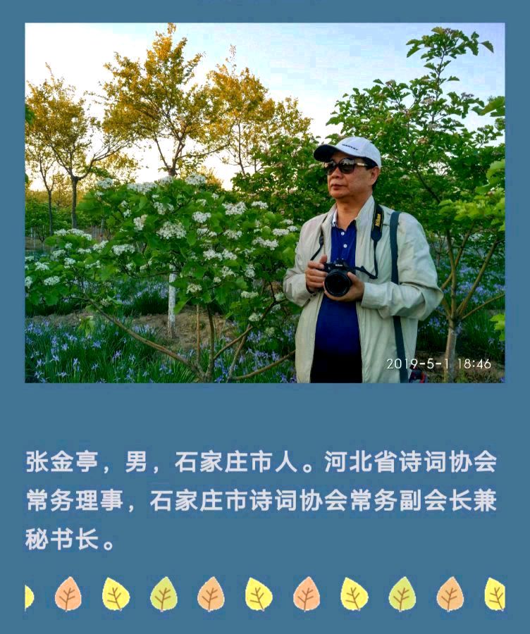 张金亭《长假游历感赋》（图5）