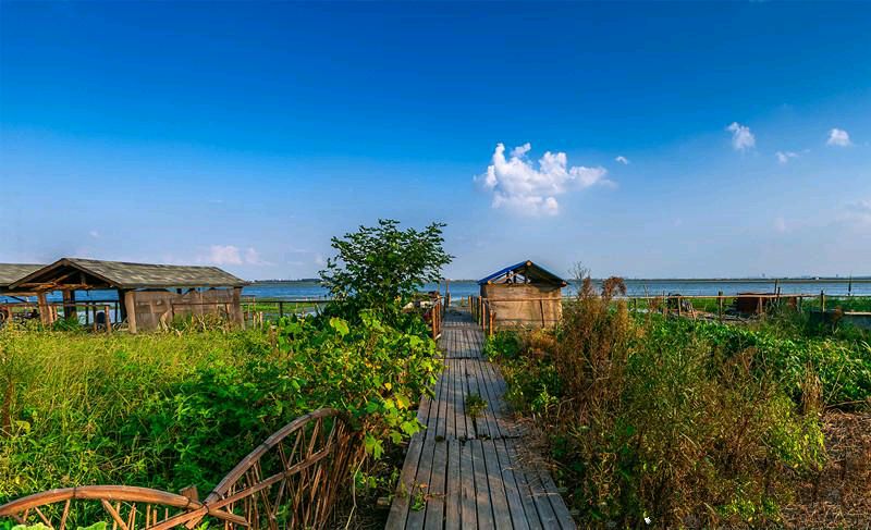 《三游莲花岛》文／吉耀国（图3）