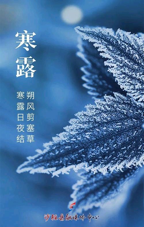 【红色文化站】精点诗词（图9）
