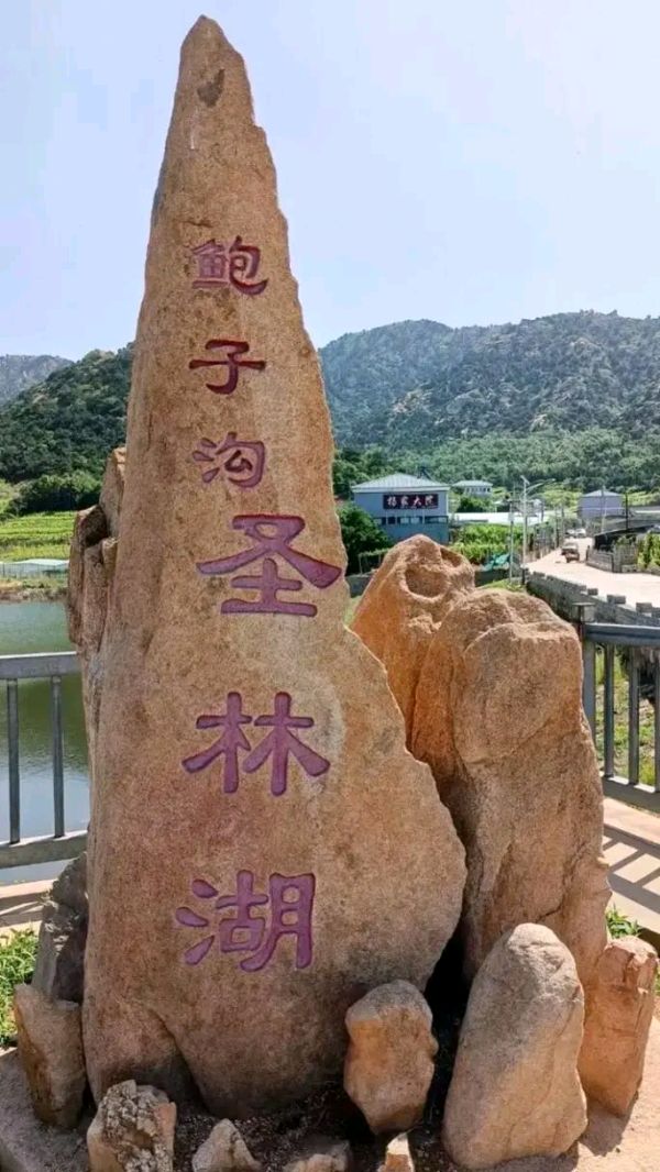 王振和老师优秀诗词003期/润牙子编辑（图6）