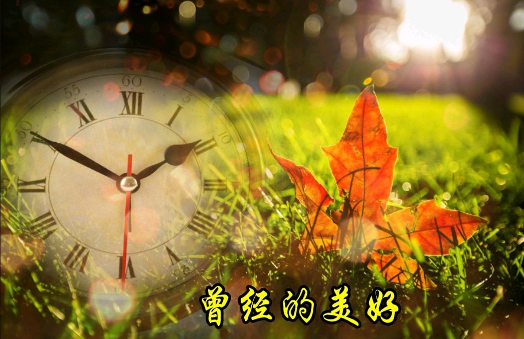 《怕是》作者/巴人 诵读/馨睿 编辑/五指山【花雨馨声】第693期（图5）
