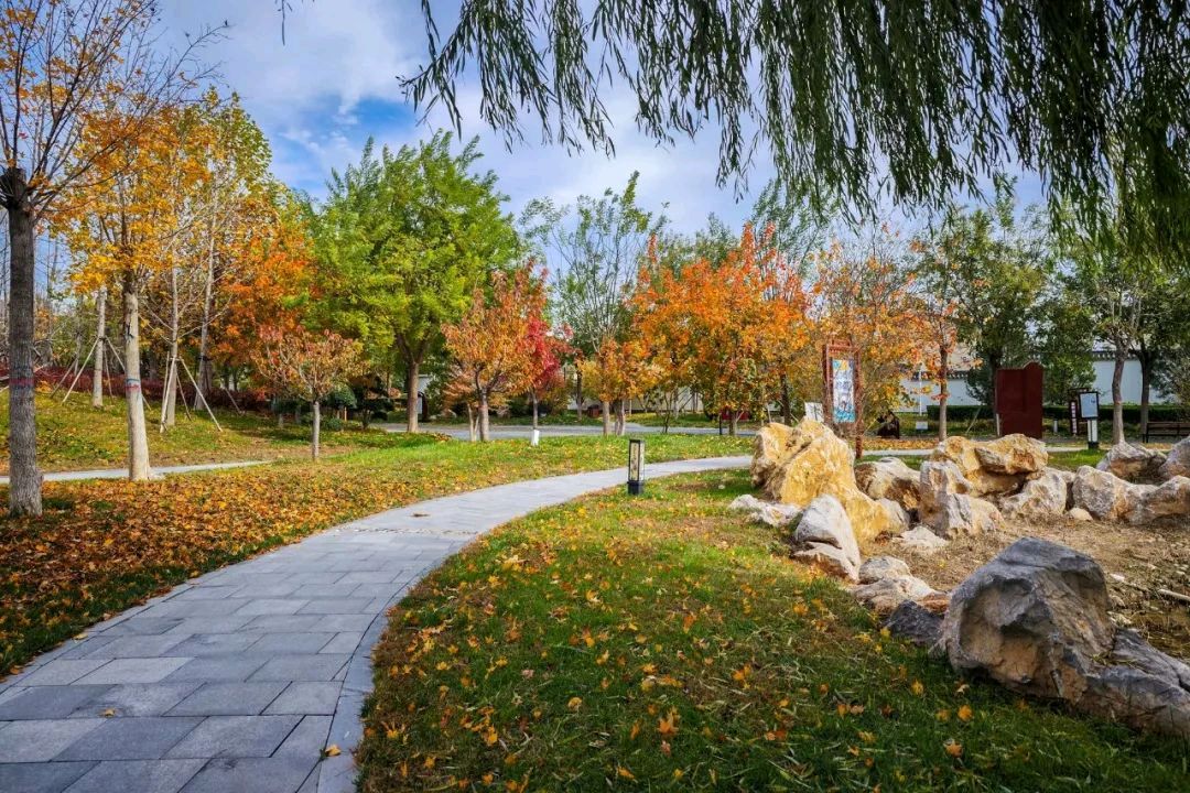 秋风，免费赠送清凉文/林水火（福建）（图3）