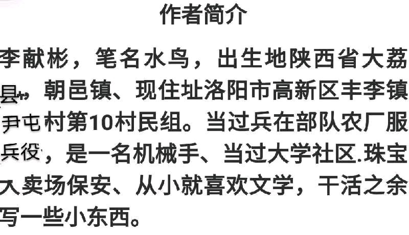 《一张介绍信》作者：李献彬（图13）
