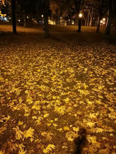 刘佰儒个人专辑001期/润牙子编辑（图2）