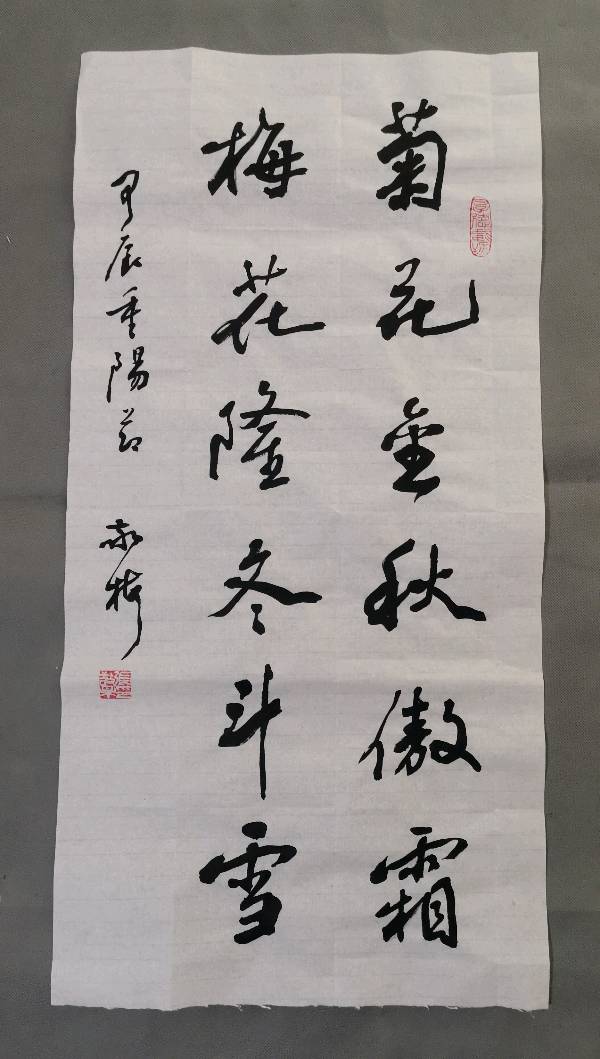 張敬梅（竹影横窗）∥迎重阳节（老人节）书法作品展示（图16）