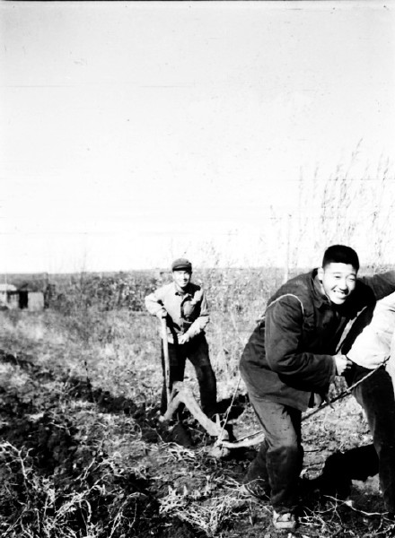 七绝·月下池上有题/回首青春（文/冯清明）……莲叶之珠文学社（图5）