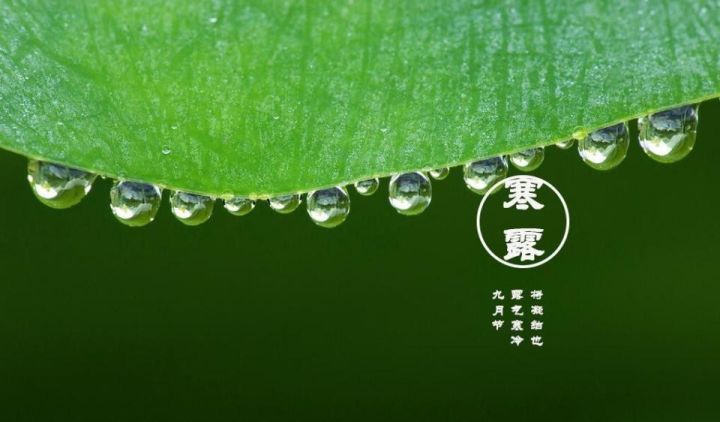 …寒露节，诗六首…文／王铁忠（图3）