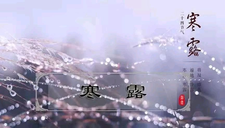 …寒露节，诗六首…文／王铁忠（图6）