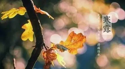 …寒露节，诗六首…文／王铁忠（图5）