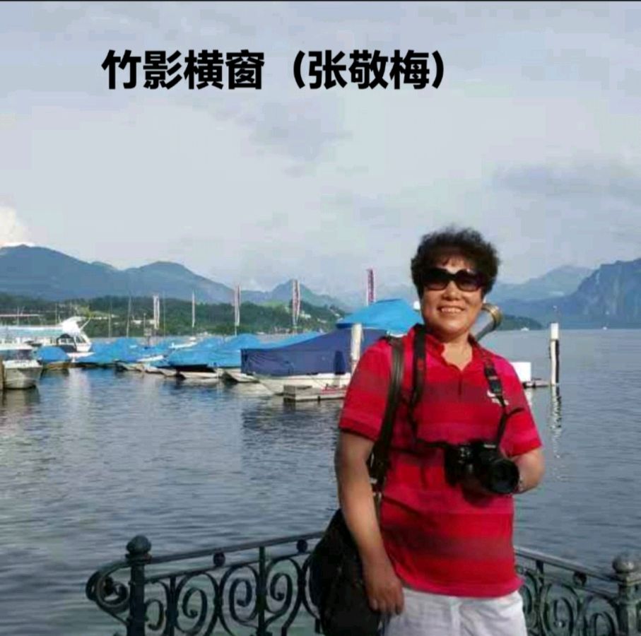 張敬梅（竹影横窗）∥迎重阳节（老人节）书法作品展示（图25）