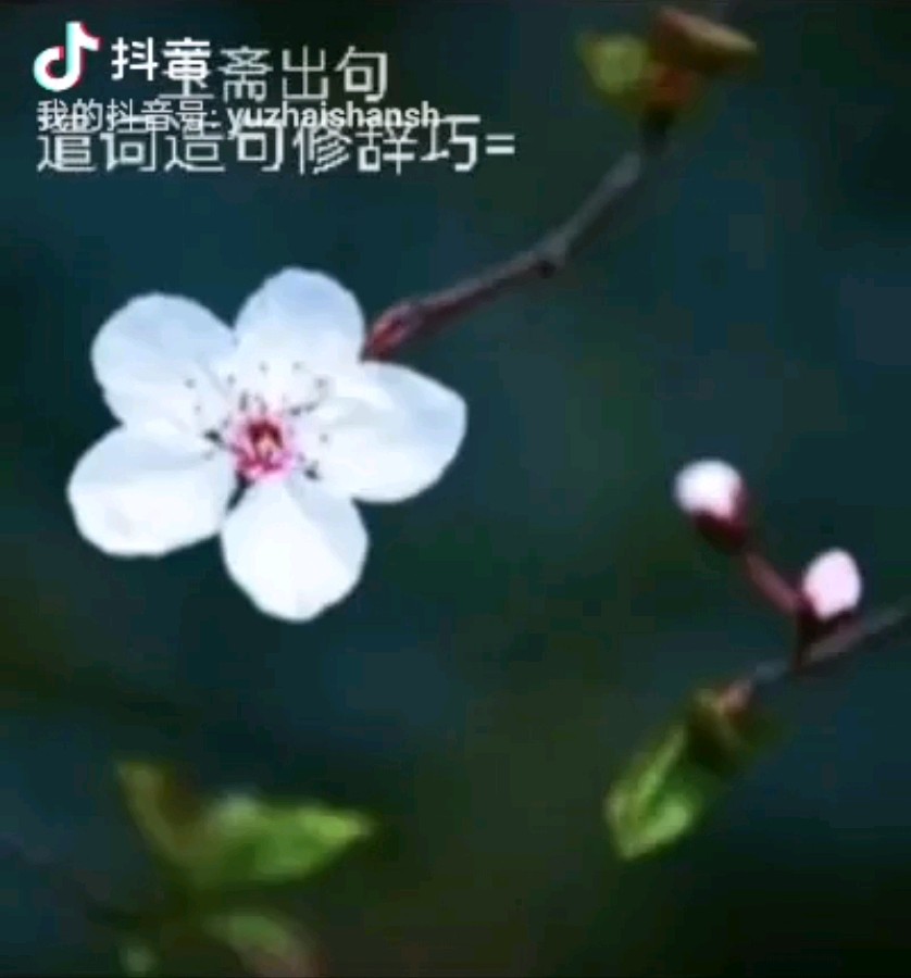 【都市头条向幸福出发编辑部】第12626期 云霞群诗联园地 245（总编 刘玉斋）