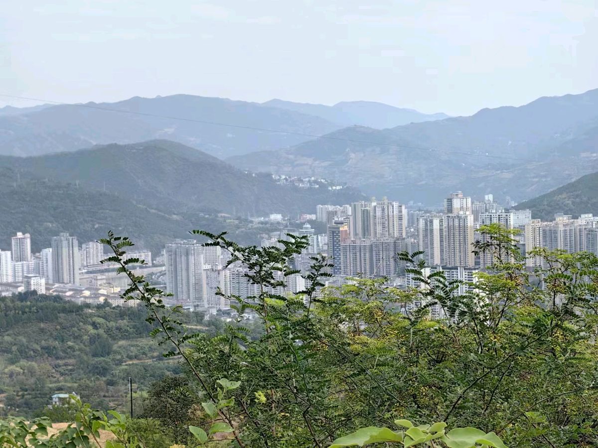 【荣耀中国】七律·寒露（一）薛有毅/山西榆次（图4）