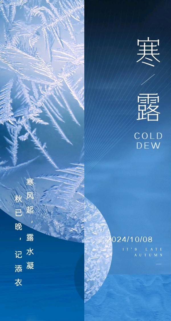 西江月-寒露～词||旗袍（图8）