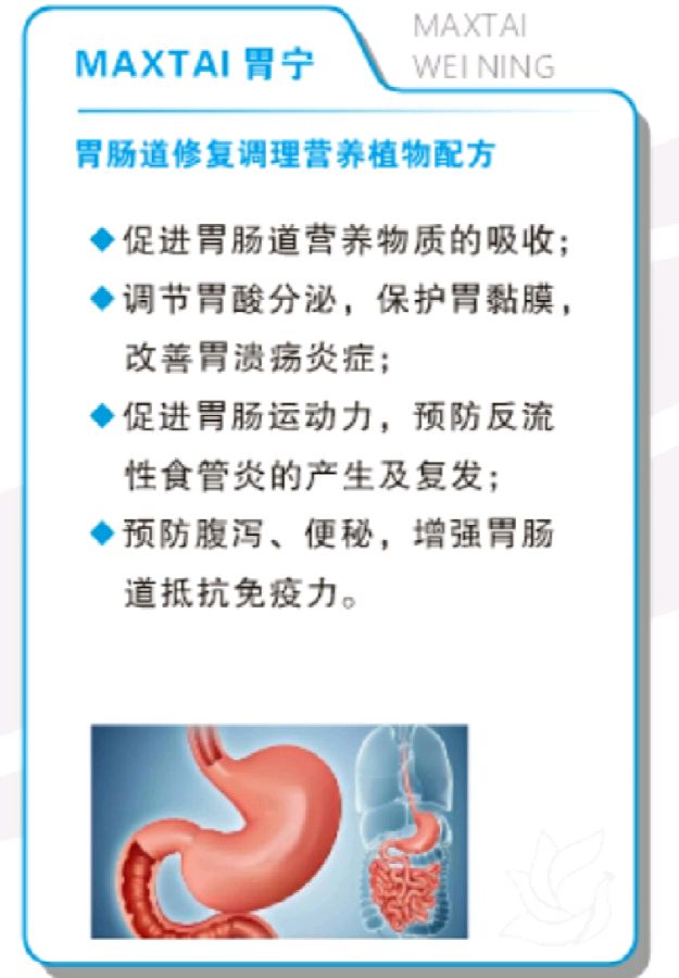 梦想就在前方招手 我们勇往直前飞翔（图21）