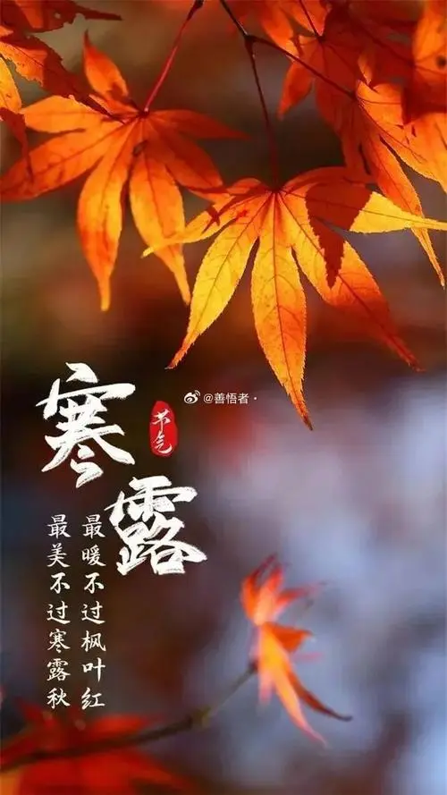 寒露‖巴彦诗词楹联协会【752】（图2）