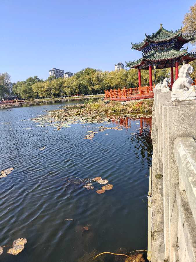 寒露‖巴彦诗词楹联协会【752】（图4）