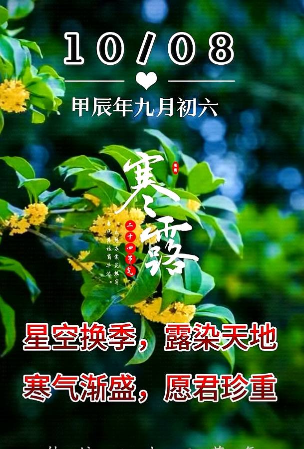 《九江文学社：北京头条》《寒露节气》专刊（图12）