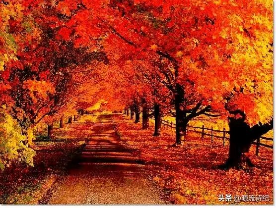 【神州源流诗苑】第1243期佳词周刊(图7)