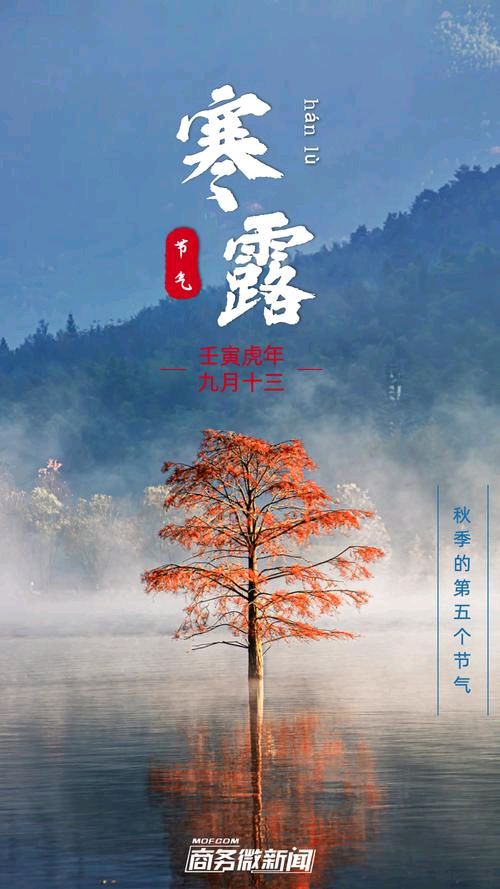 安忠和老师个人专辑/润牙子编辑011期（图7）