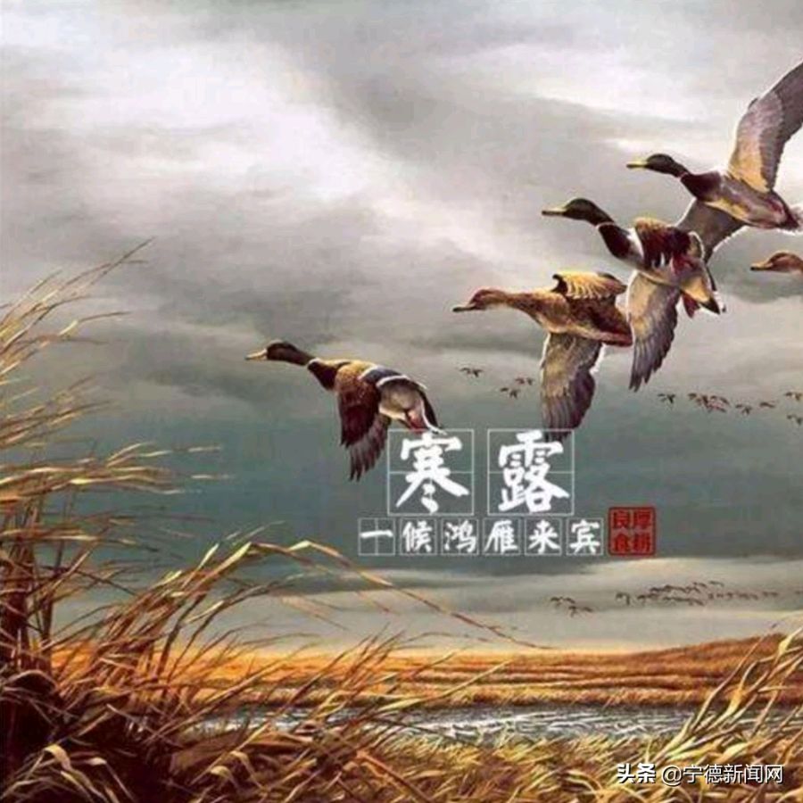 薛有毅诗歌专辑005期/润牙子编辑（图5）