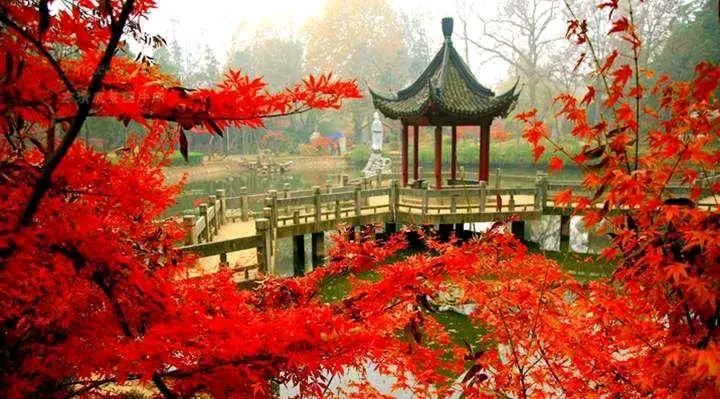 刘锁海《晚秋》【双调·碧玉箫】《晚秋吟》（图4）