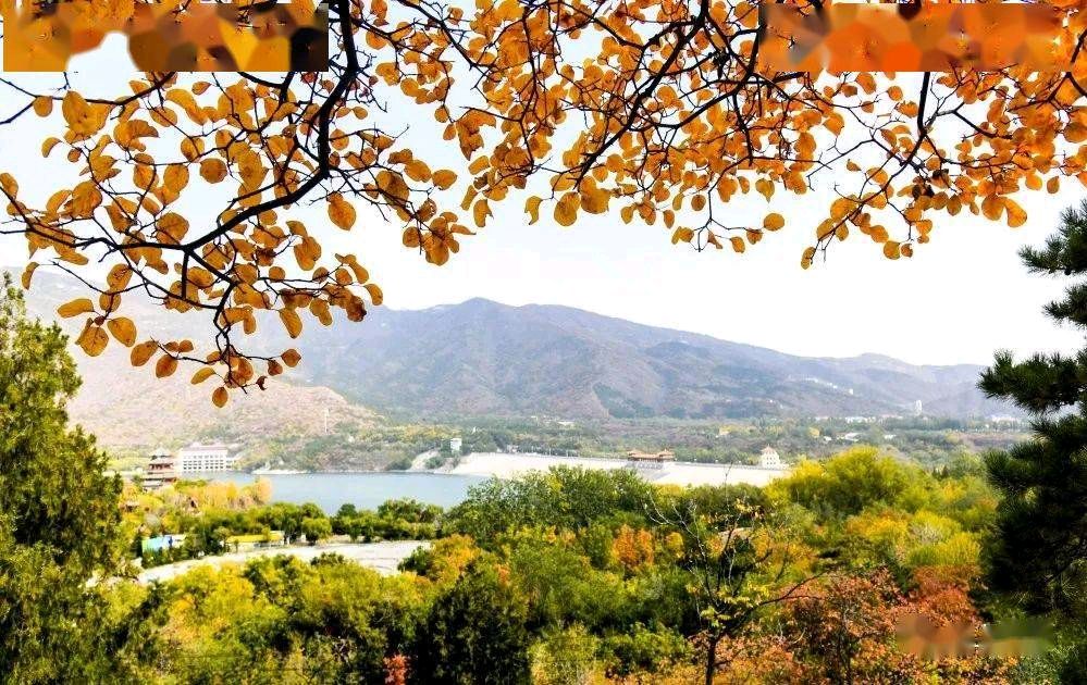 刘锁海《晚秋》【双调·碧玉箫】《晚秋吟》（图5）